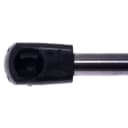 Trunk Lid Lift Support Strong Arm fits 91-94 INFINITI G20 for Dodge 2009 2.7L V6 - photo 3