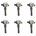 Aceon Auto Parts Ignition Coil Set for BMW 323ti 1999 - photo 1