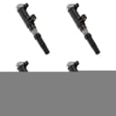 For Renault Scenic II Ignition Coil Set 2005 - photo 1