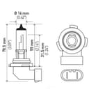 Fog Light Bulb Hella H71071012 for Ford Ranger 2010 4.0L V6 GAS - photo 2