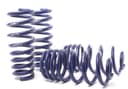For BMW X5 Coil Spring Lowering Kit-M H&R SPECIAL SPRINGS 2007 - photo 1