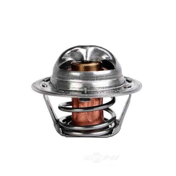 Thermostats & Parts
