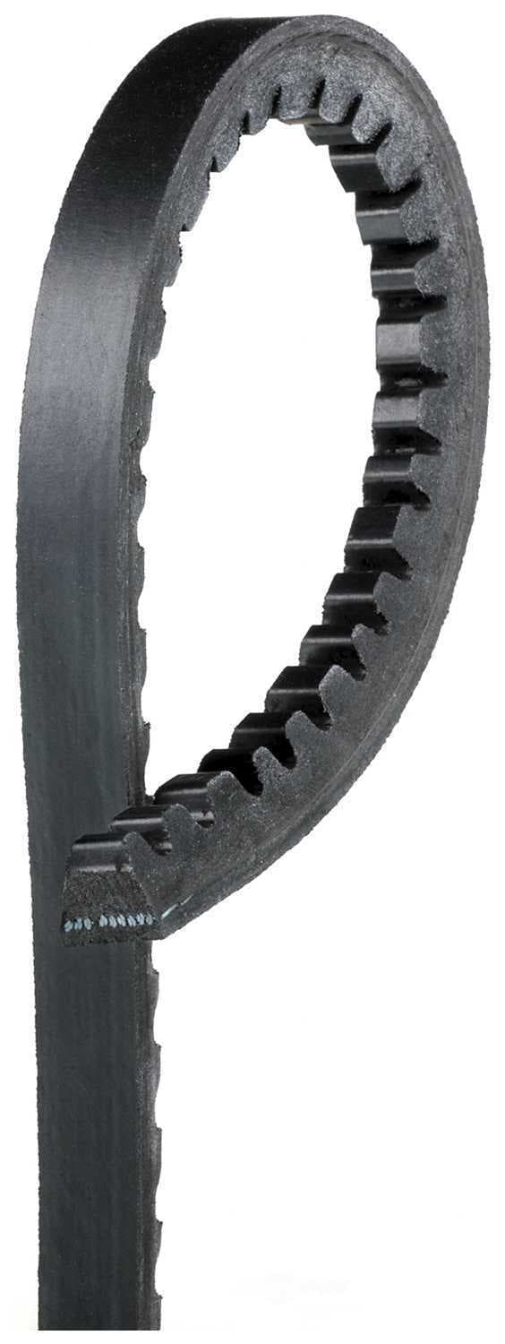 Serpentine Belt